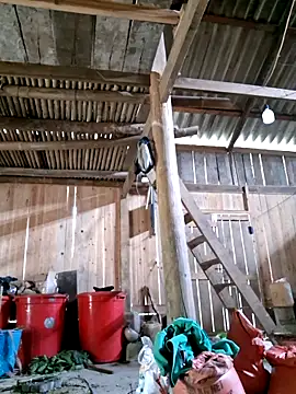 xuxulovezz online show from 4, 4, 2026