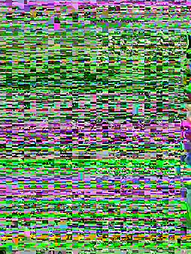 aoyo66 online show from 5, 11, 2025