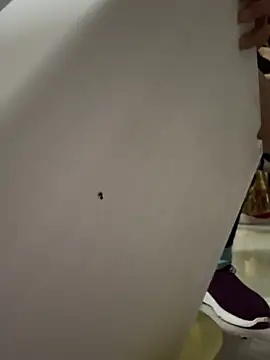 aoyo66 online show from 3, 4, 2026