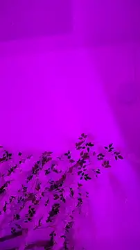 FelishaKitty online show from 14, 10, 2025