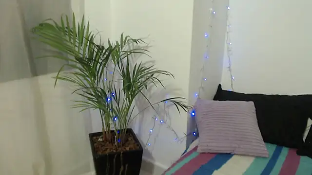 power love lemon online show from 2, 12, 2025