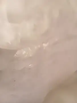 Snapshot of ruiiizz chatting on 9, 3, 2026 ruiiizz online show from 9, 3, 2026