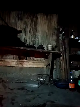 bree-zz online show from 7, 4, 2026