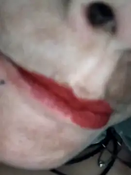 Snapshot of Na_shreya chatting on 1, 2, 2026 Na shreya online show from 1, 2, 2026