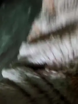 sam salman online show from 1, 2, 2026