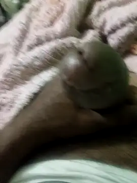 sam salman online show from 9, 2, 2026