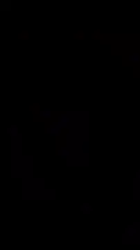 Siren-xiv online show from 3, 10, 2025