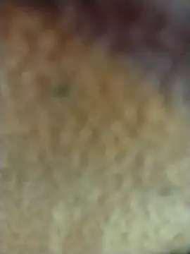 PEEHU-50 online show from 2, 2, 2026