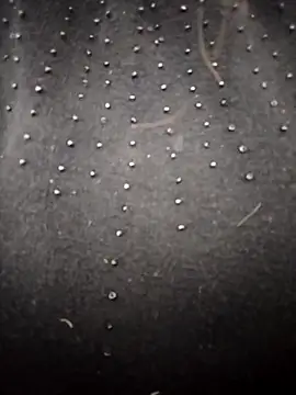 PEEHU-50 online show from 26, 3, 2026