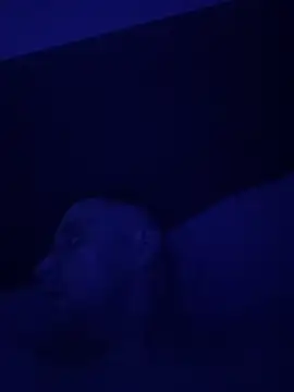 Wearpantyhosenorfolk online show from 26, 4, 2026