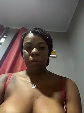 Priihmedeiros online show from 27, 3, 2026