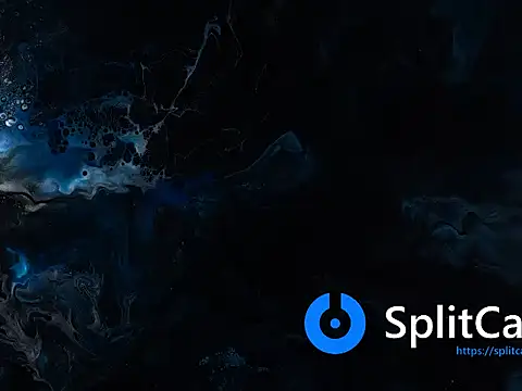 Dammianmiller online show from 8, 10, 2025