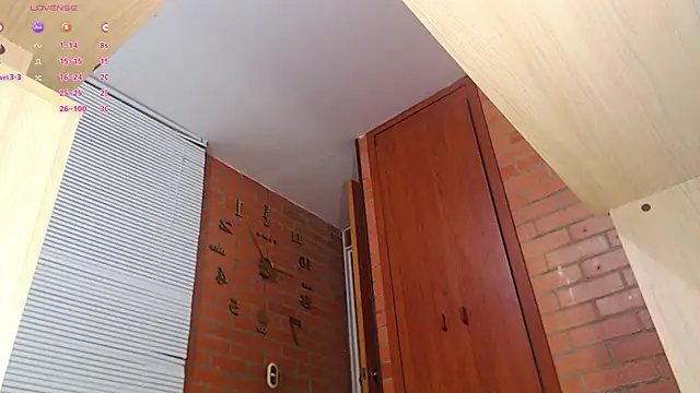 Snapshot of Salome-sw chatting on 1, 2, 2025 Salome-sw online show from 1, 2, 2025