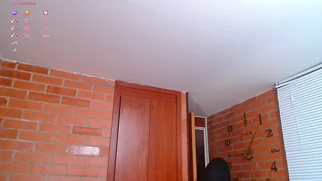 Snapshot of Salome-sw chatting on 2, 2, 2025 Salome-sw online show from 2, 2, 2025