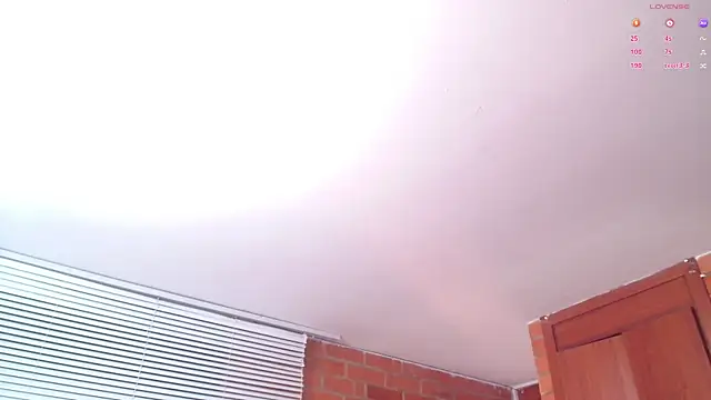 Snapshot of Salome-sw chatting on 21, 3, 2025 Salome-sw online show from 21, 3, 2025