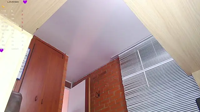 Snapshot of Salome-sw chatting on 20, 9, 2025 Salome-sw online show from 20, 9, 2025