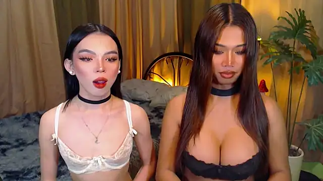 Snapshot of TWINKTRANSSHANEL chatting on 8, 10, 2025 TWINKTRANSSHANEL online show from 8, 10, 2025