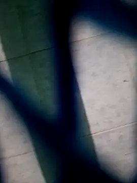 Snapshot of Neilhot98 chatting on 16, 11, 2025 Neilhot98 online show from 16, 11, 2025