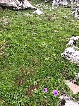 Sert erkek21 ysm online show from 23, 3, 2026