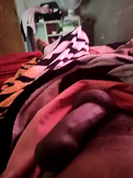 picadme online show from 6, 10, 2025