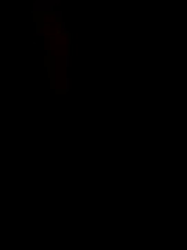 latarak321 online show from 25, 3, 2026