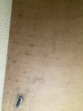 Vita6777 online show from 19, 11, 2025