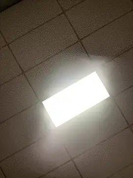 lexuslover687 online show from 17, 4, 2026