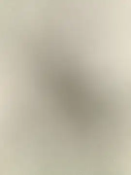 Anchal-8798 online show from 17, 12, 2025