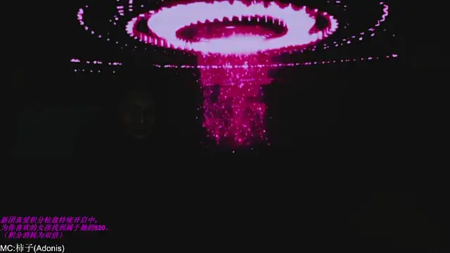 World-flower online show from 14, 11, 2025