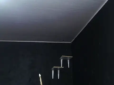 Snapshot of Liastark chatting on 30, 11, 2025 Liastark online show from 30, 11, 2025