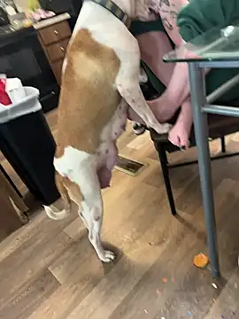 Snapshot of Mustbethemoney1234 chatting on 6, 4, 2026 Mustbethemoney1234 online show from 6, 4, 2026