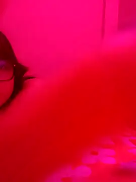 Snapshot of xcodigorojo chatting on 20, 11, 2025 xcodigorojo online show from 20, 11, 2025