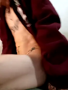 RuivoDotado24cm online show from 14, 11, 2025