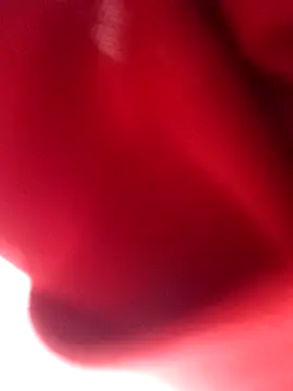 Snapshot of nalgastalla60 chatting on 6, 2, 2026 nalgastalla60 online show from 6, 2, 2026