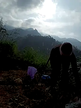 nat-tri online show from 19, 12, 2025