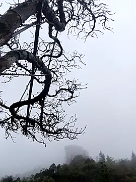 Snapshot of siusiu-00 chatting on 1, 11, 2025 siusiu-00 online show from 1, 11, 2025