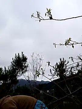 Snapshot of siusiu-00 chatting on 19, 11, 2025 siusiu-00 online show from 19, 11, 2025