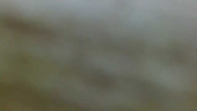 Axel Stones  online show from 21, 11, 2025