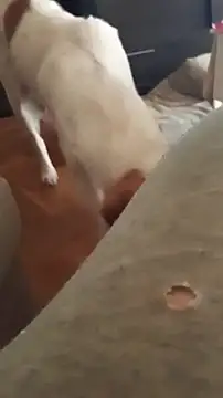 Snapshot of goloso80 chatting on 22, 10, 2025 goloso80 online show from 22, 10, 2025