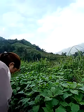 Snapshot of omai-ngot chatting on 15, 11, 2025 omai-ngot online show from 15, 11, 2025