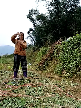 Snapshot of omai-ngot chatting on 17, 11, 2025 omai-ngot online show from 17, 11, 2025