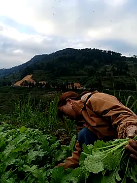 Snapshot of omai-ngot chatting on 22, 11, 2025 omai-ngot online show from 22, 11, 2025