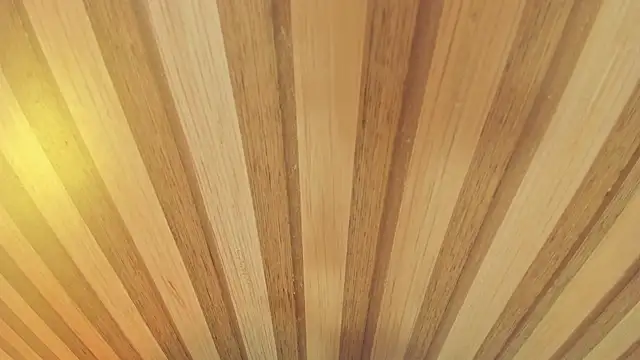 mia  blaze   online show from 13, 1, 2026