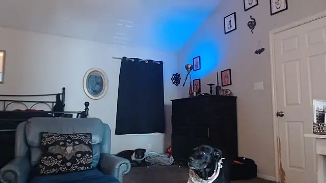 ImKatMeow online show from 9, 2, 2026