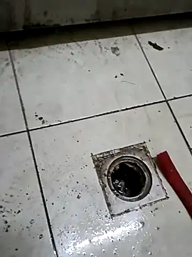 ConvoyedSubgroup online show from 5, 3, 2026