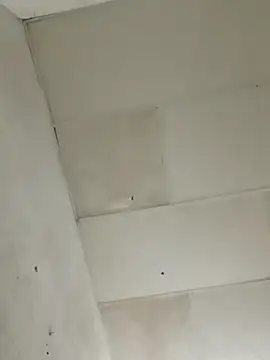 chikis12  online show from 22, 11, 2025