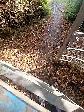 bbyxklaus online show from 5, 11, 2025