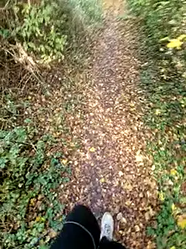 bbyxklaus online show from 9, 11, 2025