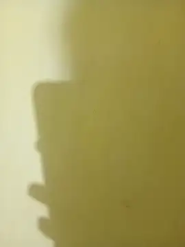 HeatableRevan online show from 24, 3, 2026