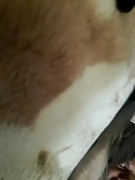 Snapshot of Perfect_size chatting on 20, 11, 2025 Perfect size online show from 20, 11, 2025